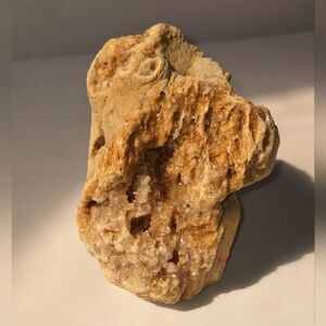 Kentucky Quartz Formation Possibly Petrified Wood Or Fossil